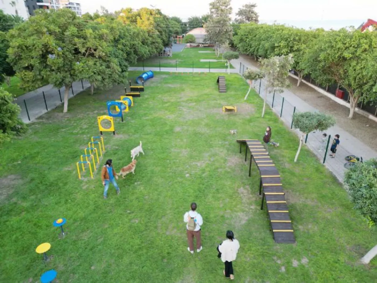 Beylikdüzü Pet Parkı