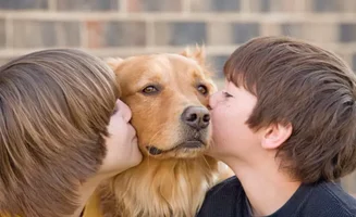 10 Things to Know Before Adopting a Pet
