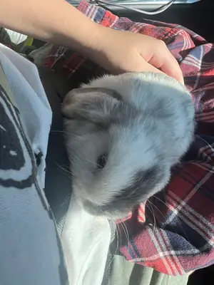 The maintenance wasn't as easy as I thought.