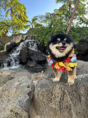 evde yalnız kalmaya başladı ben de fark ettim geç oldu