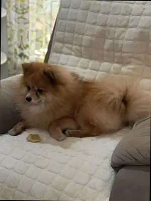 thought small would be easier