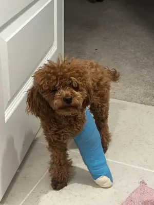 timing just went wrong