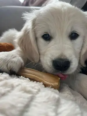 i’m barely home these days