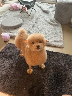 mauvais moment pour moi