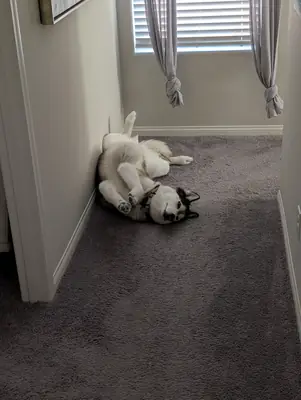 pas adapté à mon quotidien