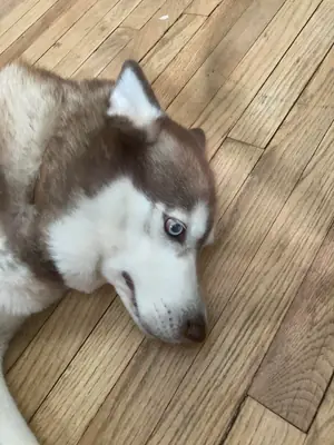 this one was a bad match for me