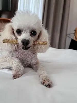 ça ne colle plus avec mes journées