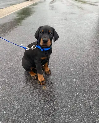 ça tourne en rond depuis un moment