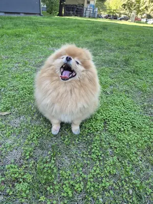 no pensé que acabaría así