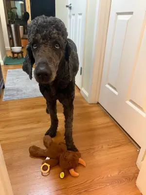 se me fue de las manos sin darme cuenta