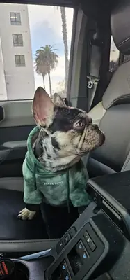 no lo dejo gratis ya aviso