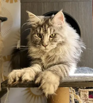 esto se quedó parado y yo también