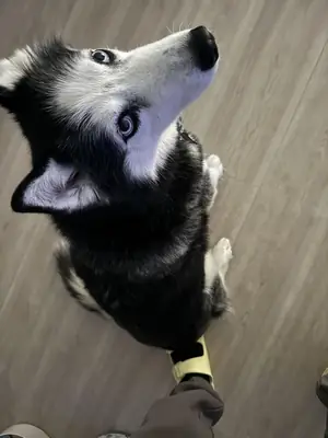 benim hayatım buna uygun değilmiş sonradan anladım