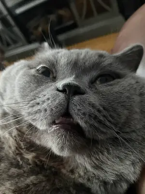 daha stabil bir ortamda olması gerektiğini düşünüyorum