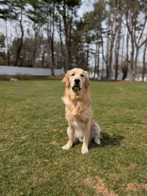 daha uygun bir yaşam alanı sunabilecek birini arıyorum