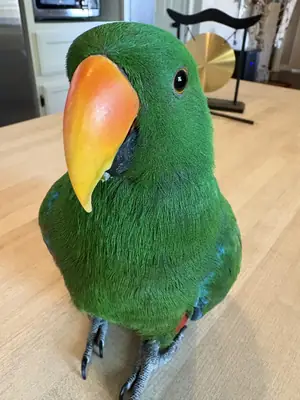 Не для новичков, пожалуйста, прочтите.