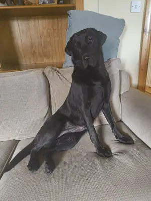 this isn’t working the way I thought it would