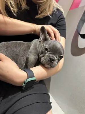 need to place him somewhere more stable