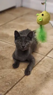 not urgent, just want a better setup for her