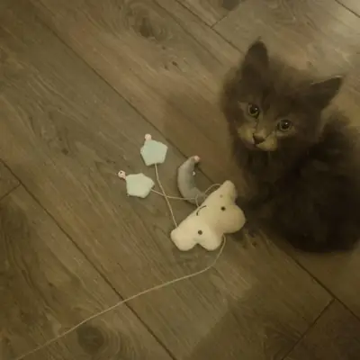 acele değil yavrumuz için doğru kişiyi arıyoruz