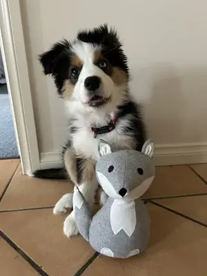 enerjisine ayak uydurabilecek biri arıyoruz