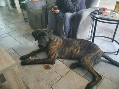 apartman için uygun değil, bunu geç fark ettik