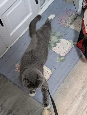 alışık olduğu düzen değişti, o yüzden veriyoruz