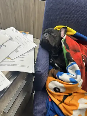 bakımı kolay sanıp aldık ama öyle değilmiş