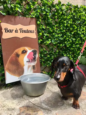 Множество кафе