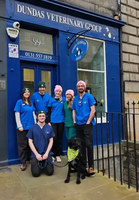 爱丁堡专业兽医服务