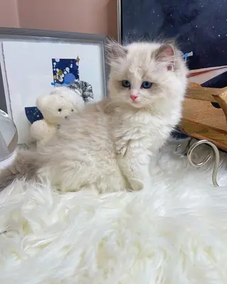 母亲和我们住在一起，当然