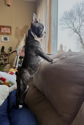 not a good fit with my current schedule