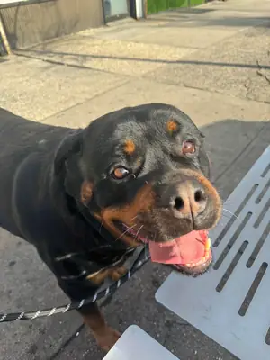 no es para cualquiera