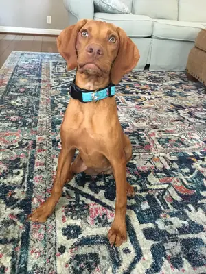 çok enerjik evladımızı vermek zorundayız