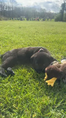 oğluma bakamıyorum artık, ciddi düşünen yazsın