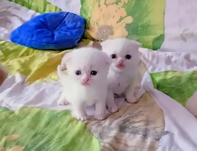 Cute siblings you'll never tire of loving.