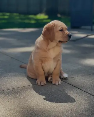 Cute and lovely 