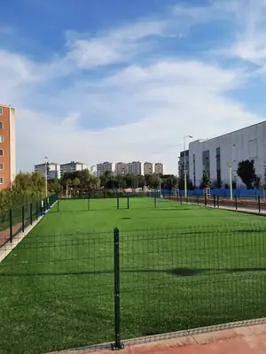 Dost Patiler Köpek Eğitim ve Oyun Parkı – Bodrum