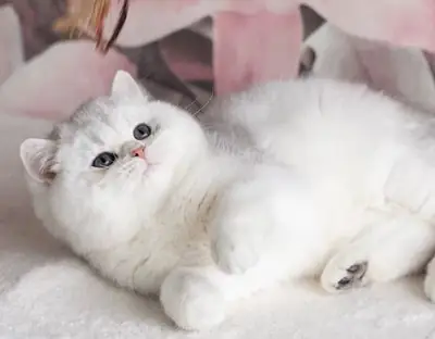 我们的窝里有：