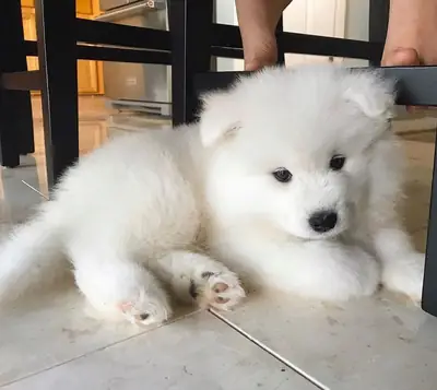 ❄️☁️ **Küçük bir kar topu!**