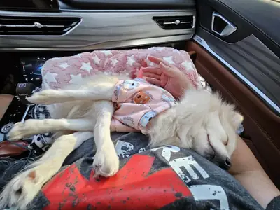 no es fácil para mí, pero no puedo seguir