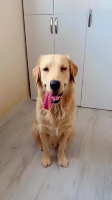 Sevimli,oyuncu, akıllı yakışıklı oğlumuz