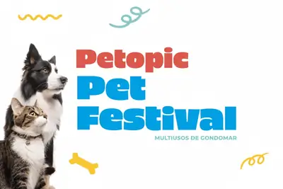 Pati Fest 2025 – ..
