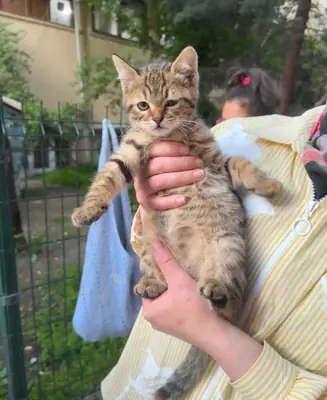 Güzel sevecen yavruma yuva