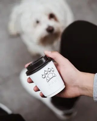 Paw Coffee Bodrum