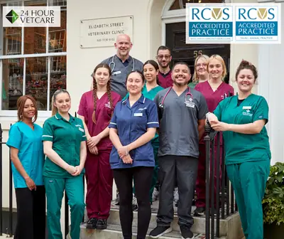 Urgencias veterinarias 24/7 en el centro de Londres (Belgravia) – Clínica Veterinaria Elizabeth Street