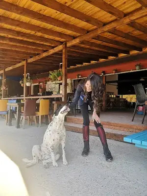 Dressage canin professionnel à Istanbul – Canis Academy (Dressage à domicile et sur le terrain)