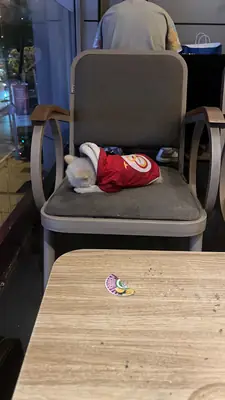 Boo, un pomerania de 1 año.