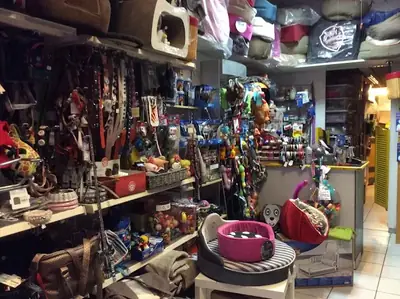 BIGOUDI – Dog & cat grooming (Lyon 6th arrondissement)