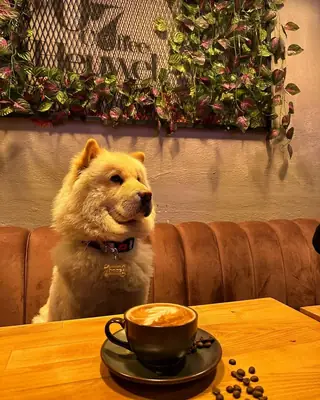 07 Hill Coffee..